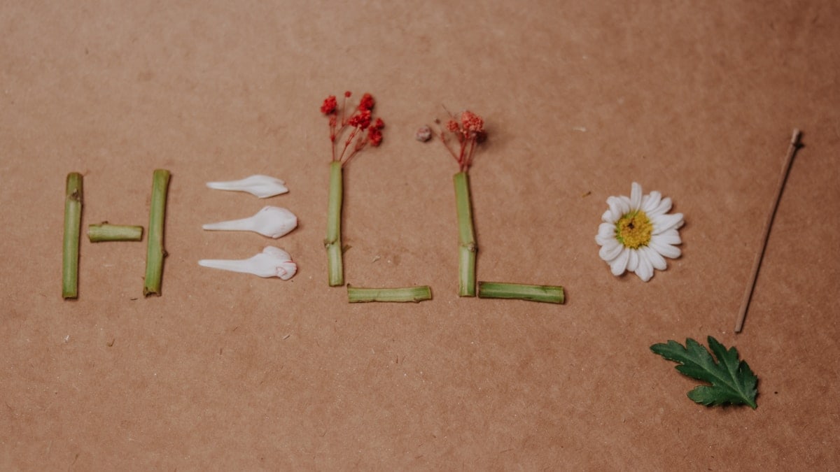 the word hello spelled out with flowers and leaves